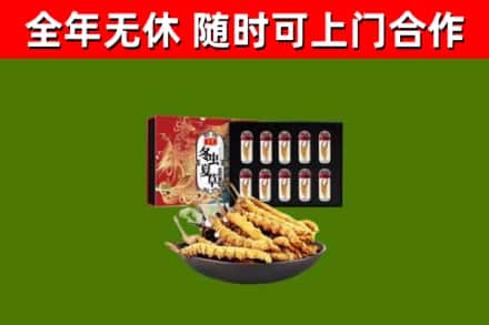 大兴烟酒回收冬虫夏草礼盒.jpg